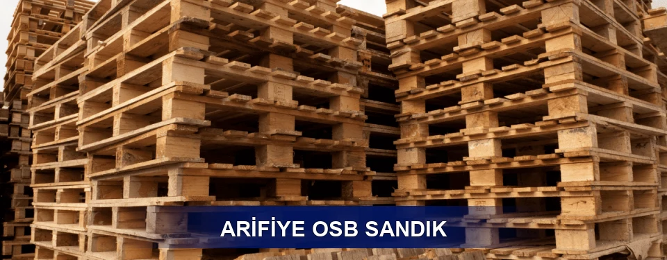 Arifiye Ölçü Planı